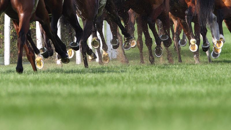 Iroquois Steeplechase Ultimate Tailgate Experience
