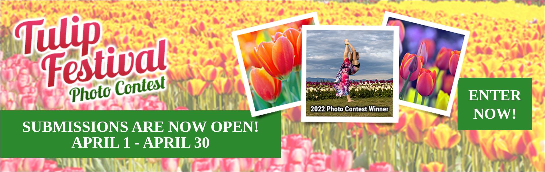 Tulip Festival 2023 Banner Ad