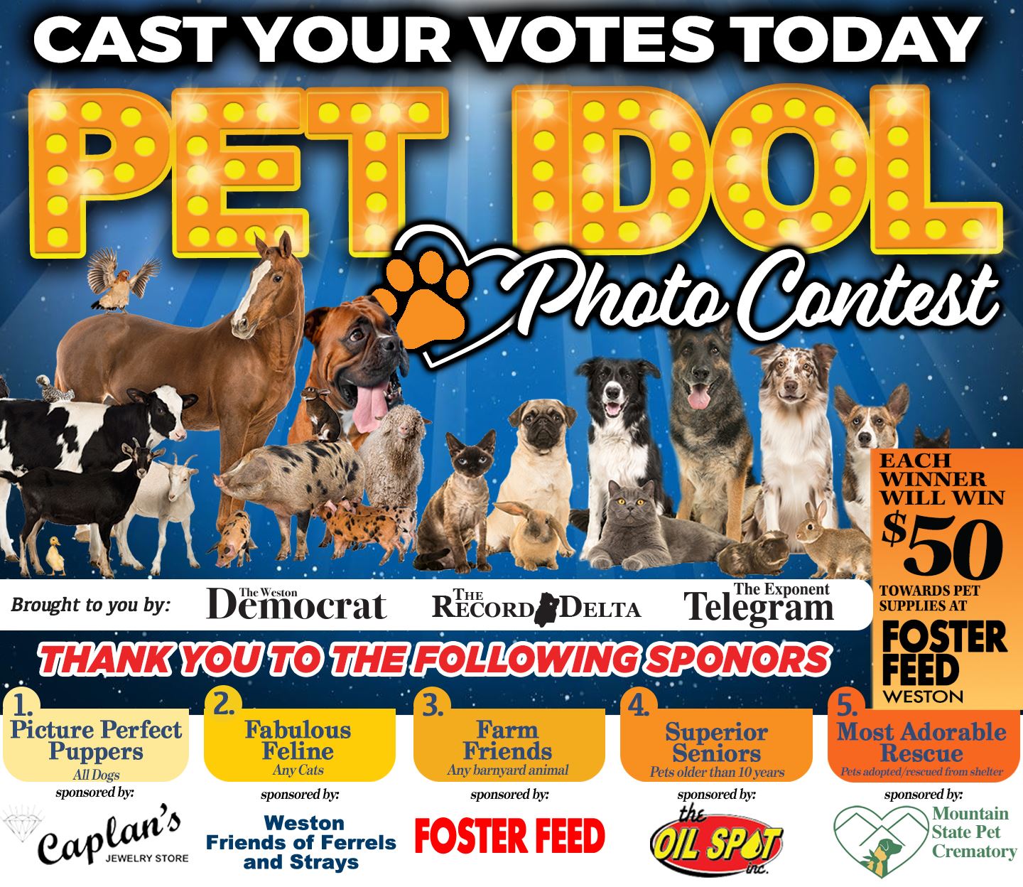 Pet Idol Photo Contest | Picture Perfect Puppers | West Virginia