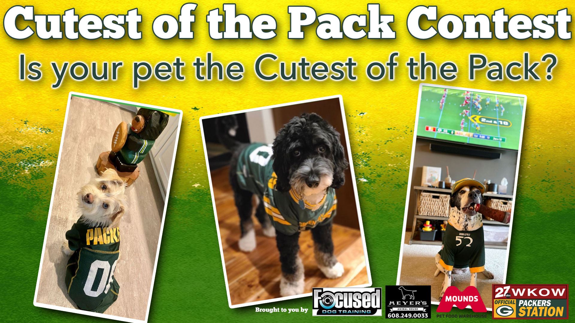 Green Bay Packers sports pet supplies for dogs