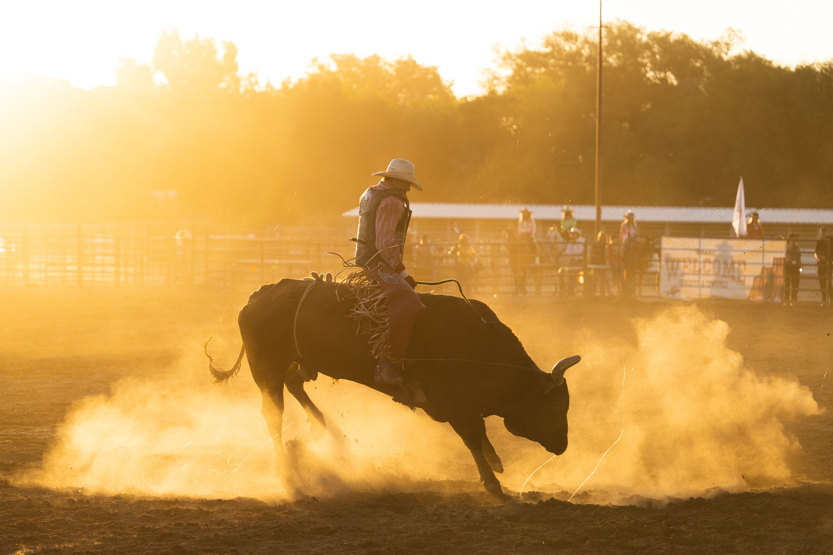 bull riding 