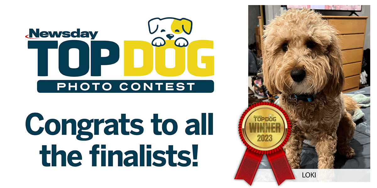 Top Dog Contest a Perfect Tie-in to March Basketball