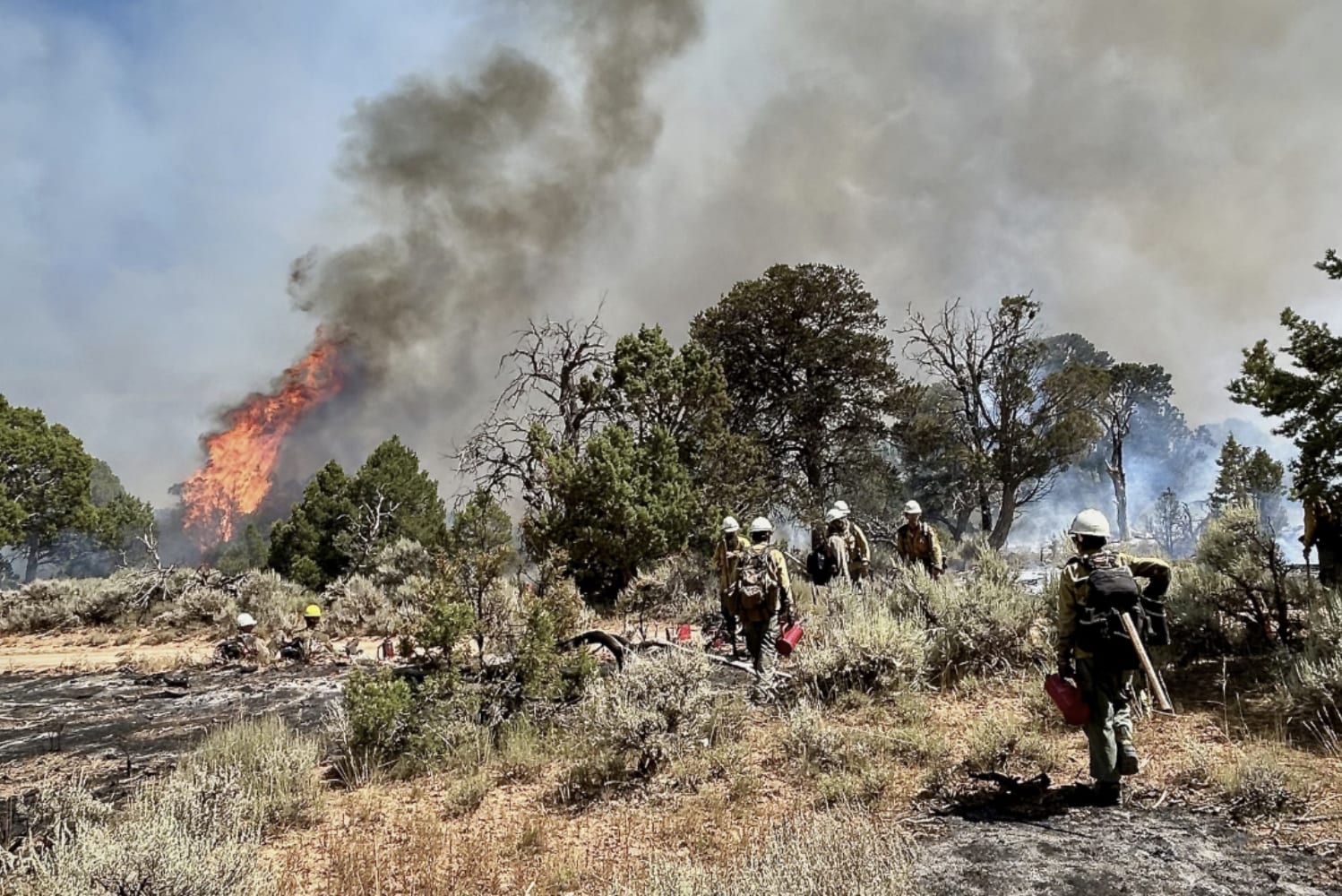 Little Mesa Fire 