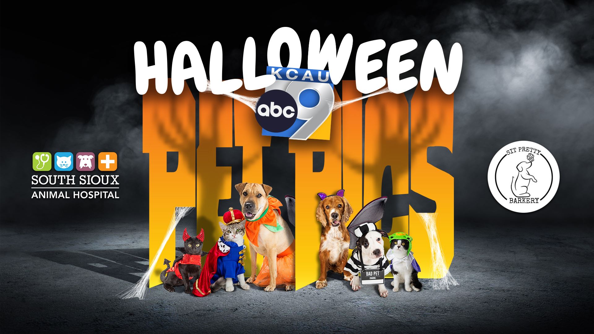See the 20 Best Pet Halloween Costume finalists; Vote for your
