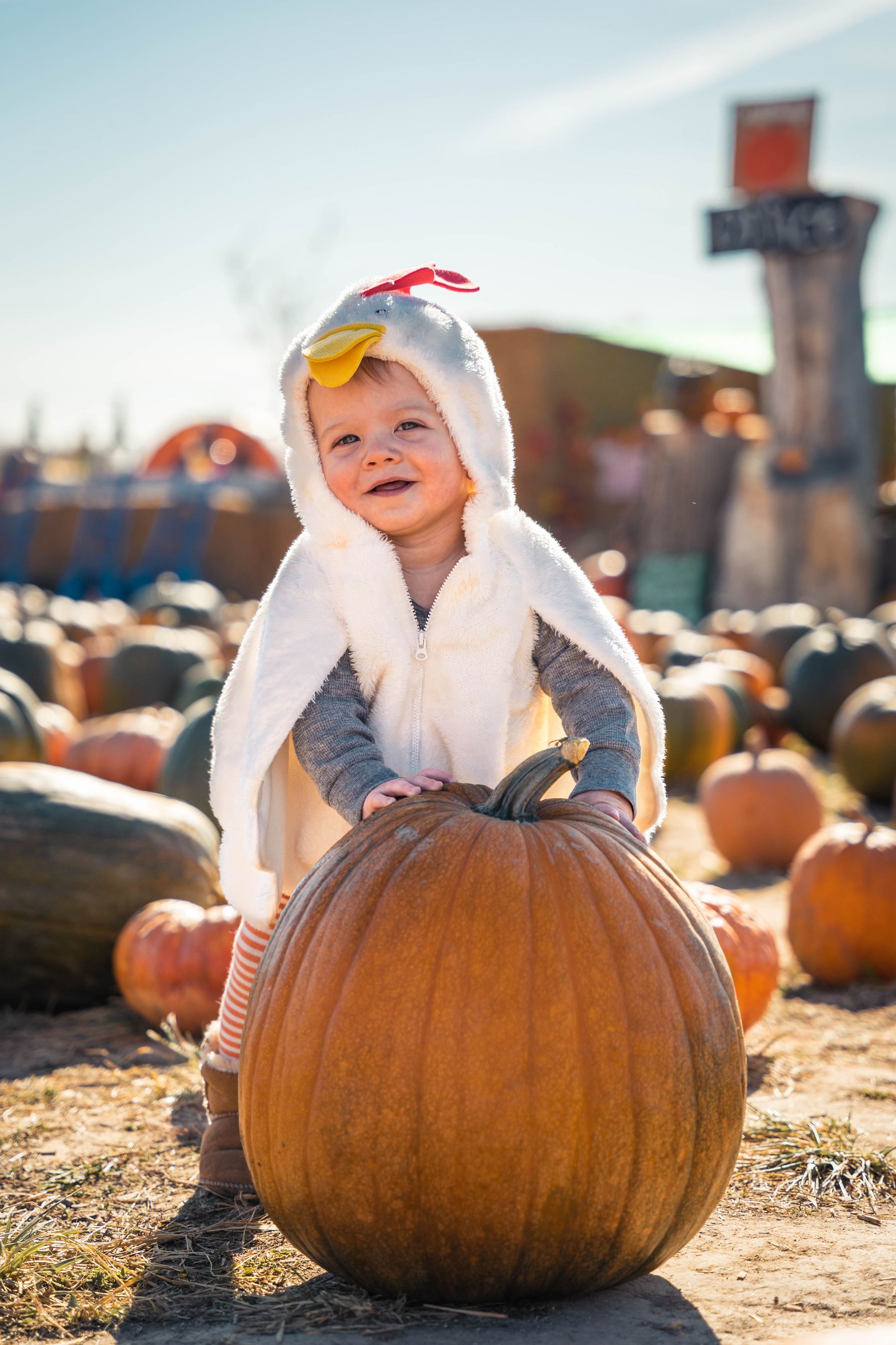 Show us your Halloween costumes, now that trick-or-treating is over