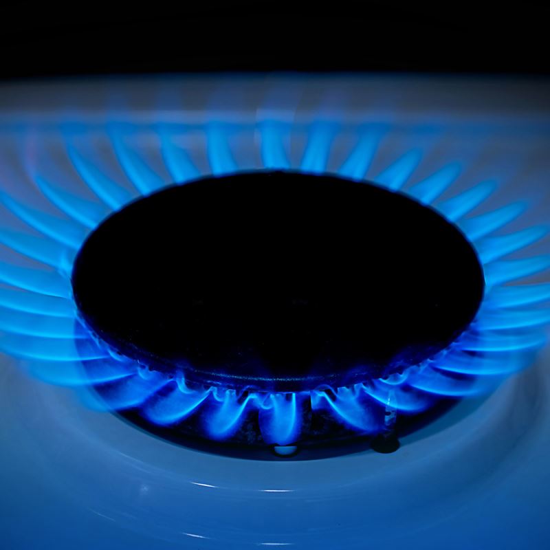 Chesapeake Utilities Gas Safety Survey