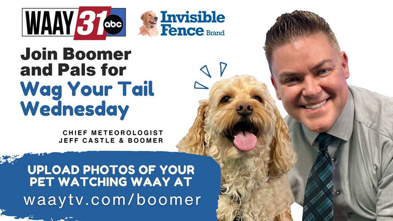 Wag Your Tail Wednesday with WAAY Chief Meteorologist Jeff Castle & Boomer