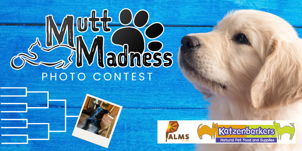 Mutt Madness Photo Contest