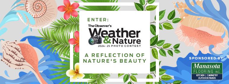 Weather and Nature Photo Contest 2024-25