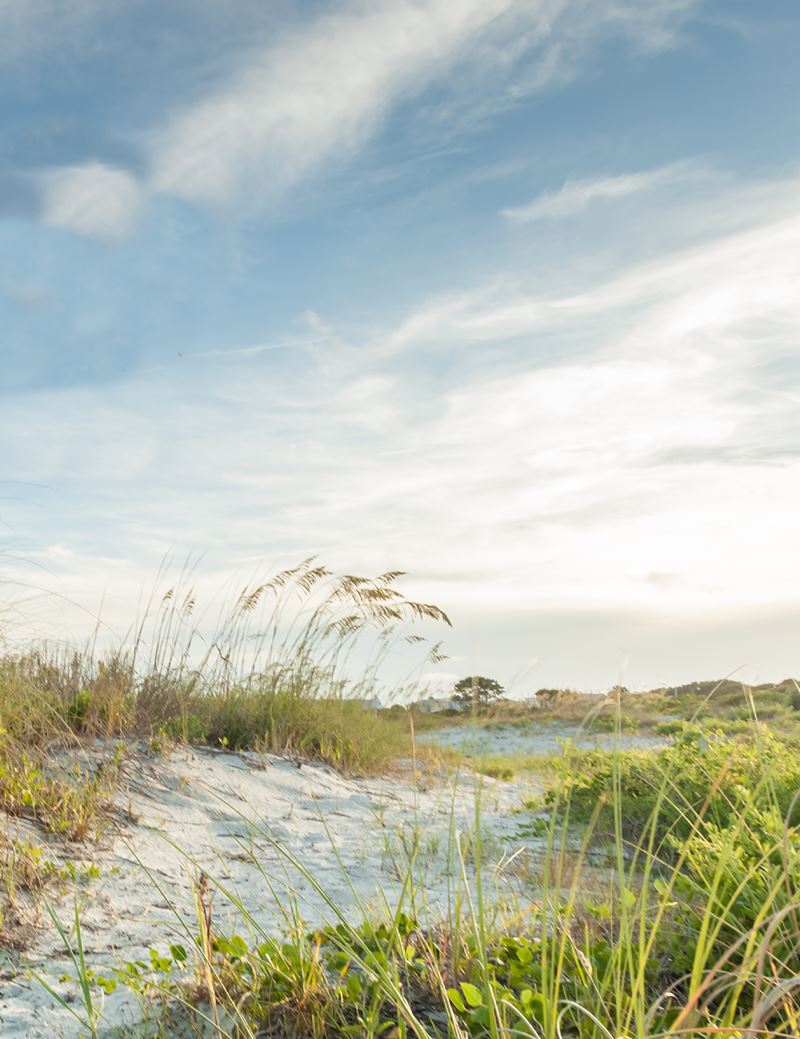 Golden Isles Georgia Getaway