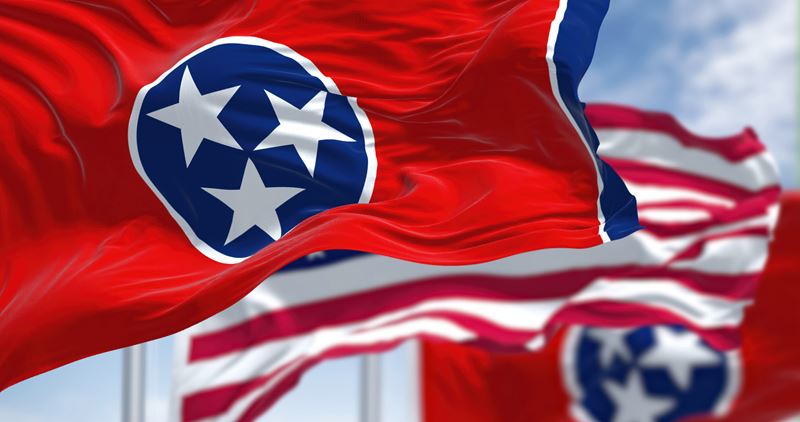 Tennessee state symbols trivia