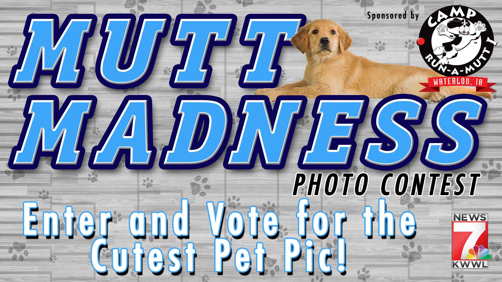 Mutt Madness Photo Contest