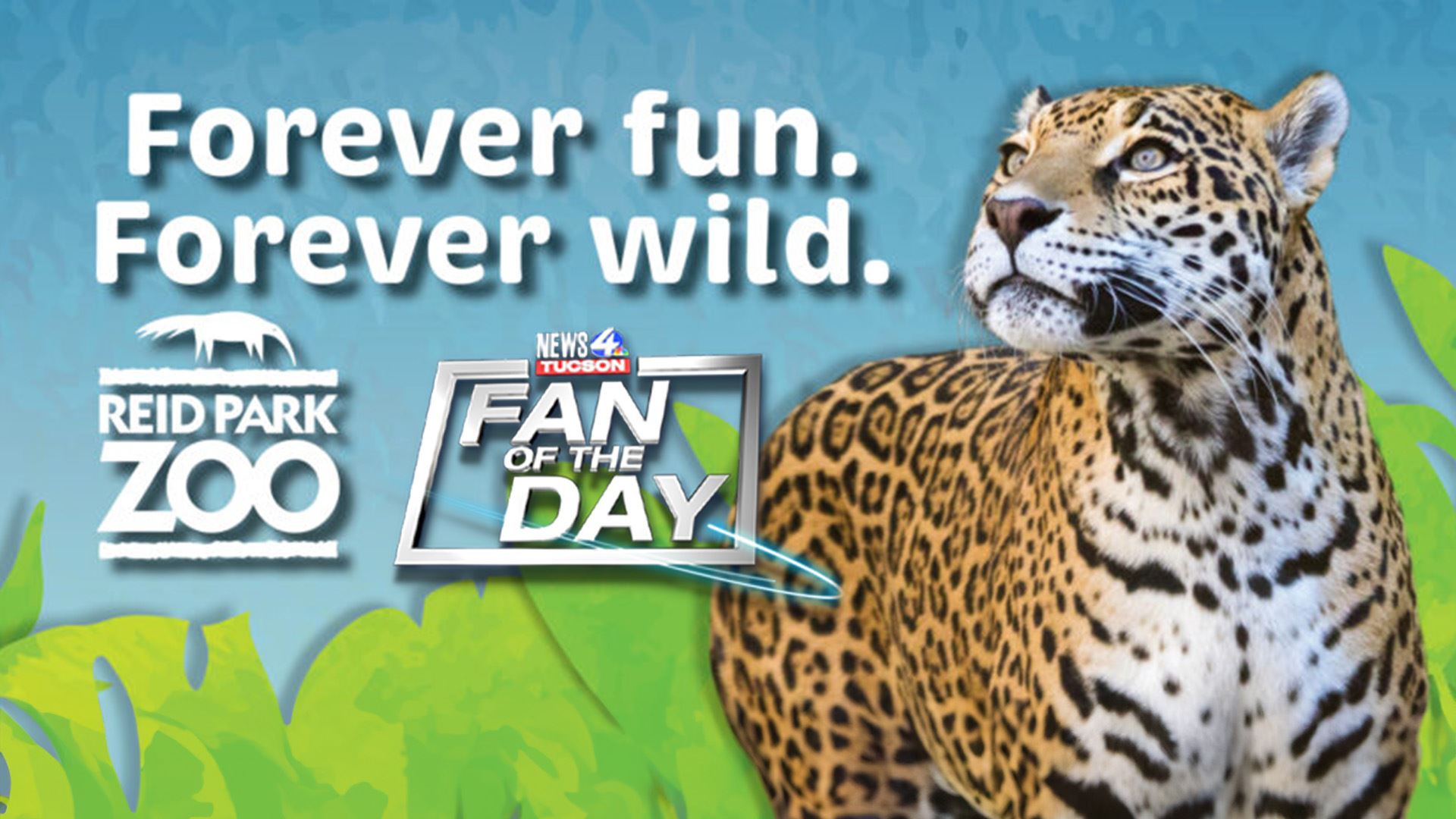 Fan of the Day - Reid Park Zoo - Forever Fun. Forever Wild
