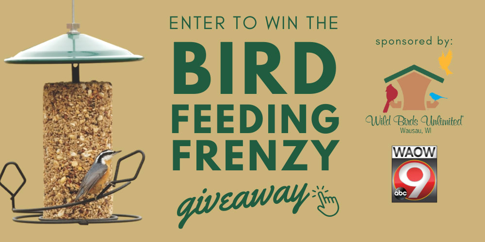 Bird Feeding Frenzy Giveaway