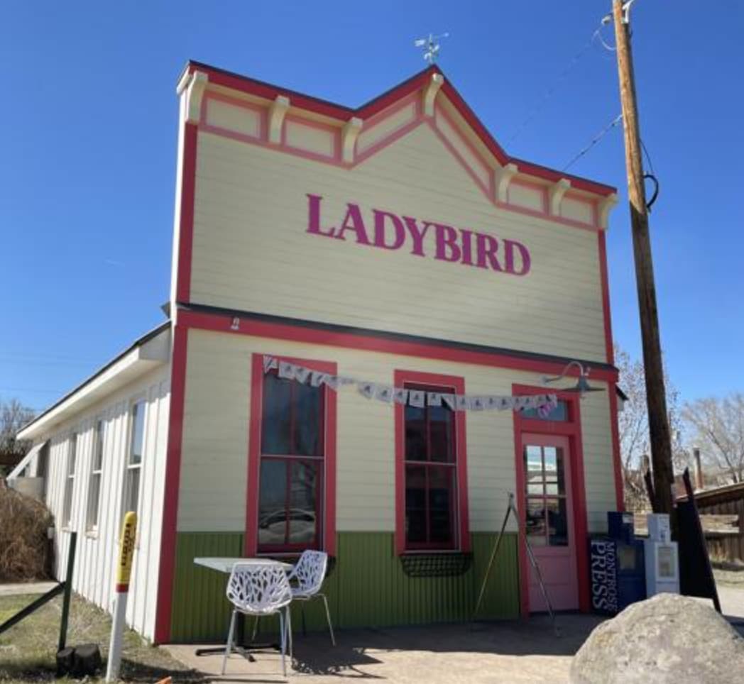 ladybird coffee