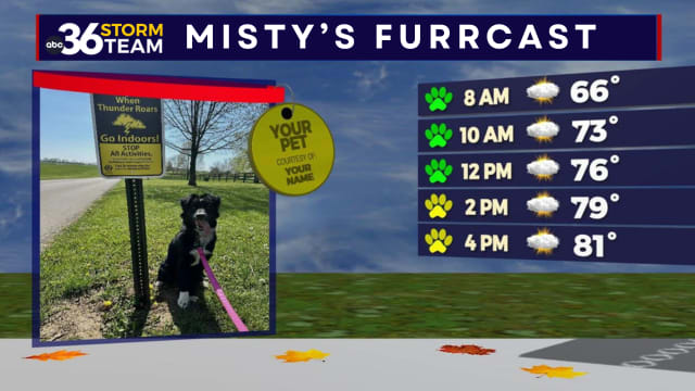 Misty's Furr-Cast