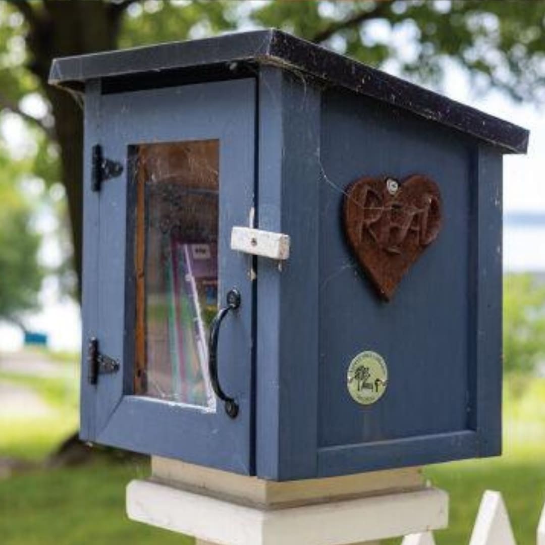 Photo of a little free library.