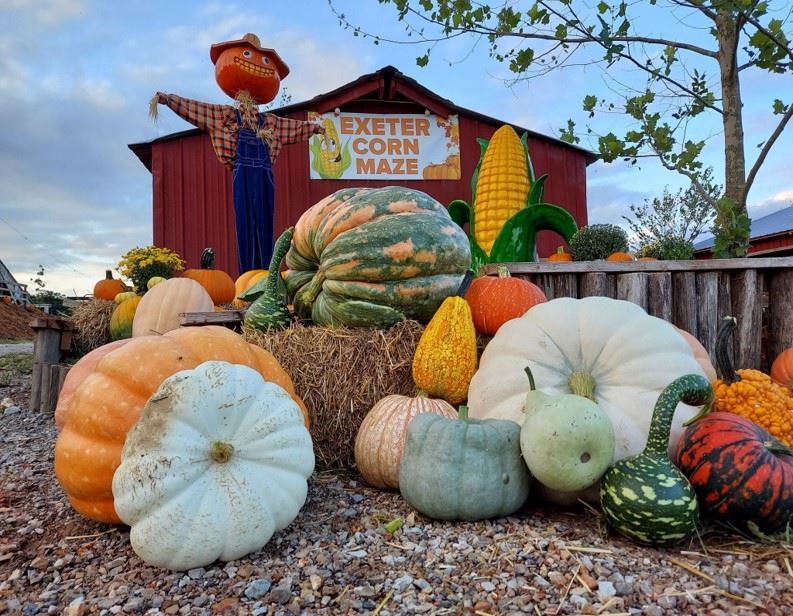 KFSM Tickets to Exeter Corn Maze