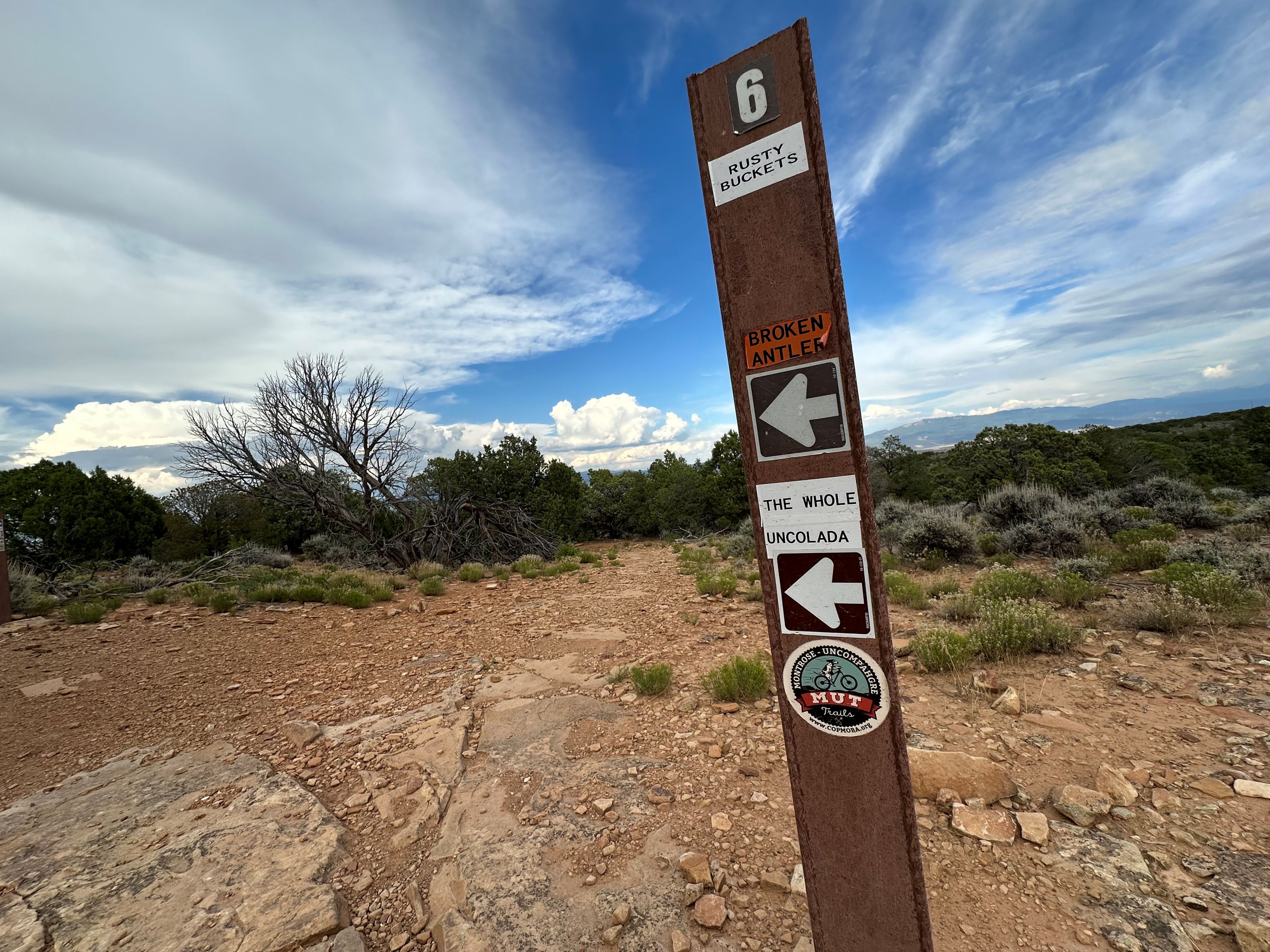 Buzzard Gulch trails