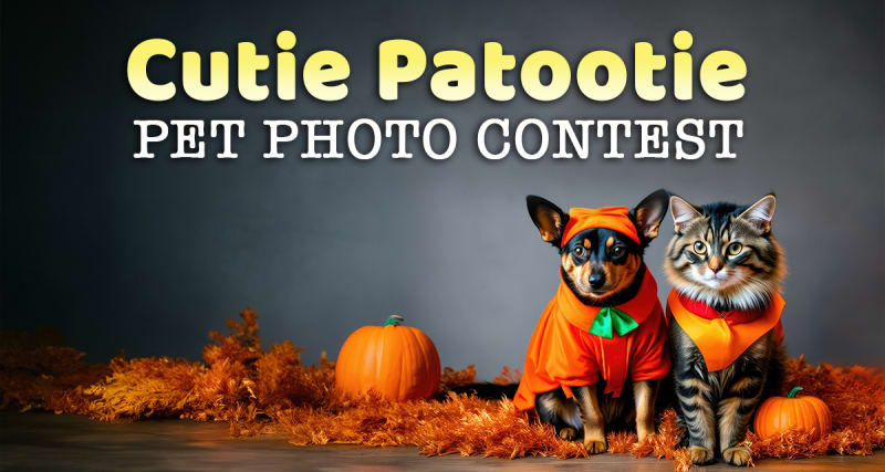 Cutie Patootie Pet Photo Contest