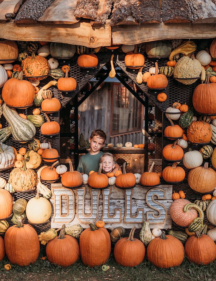 Dull's Tree Farm and Pumpkin Harvest