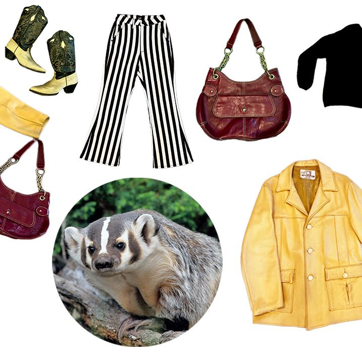 A collage of images including striped pants, a red purse, a yellow jacket, yellow cowboy boots, and an image of a badger.