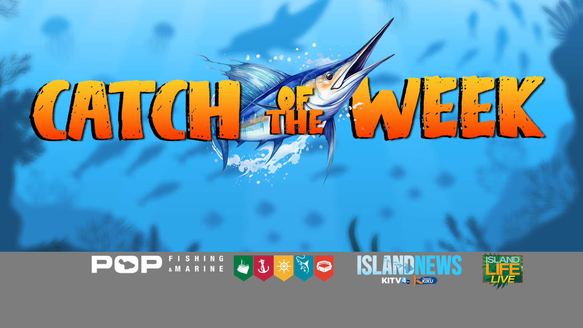 Island Life LIVE - Catch of the Week