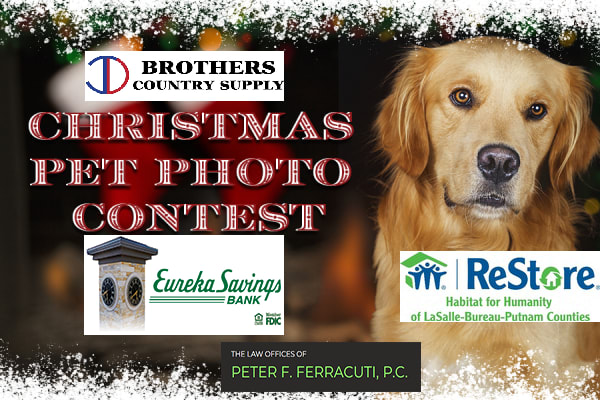 2024 Christmas Pet Photo Contest 2