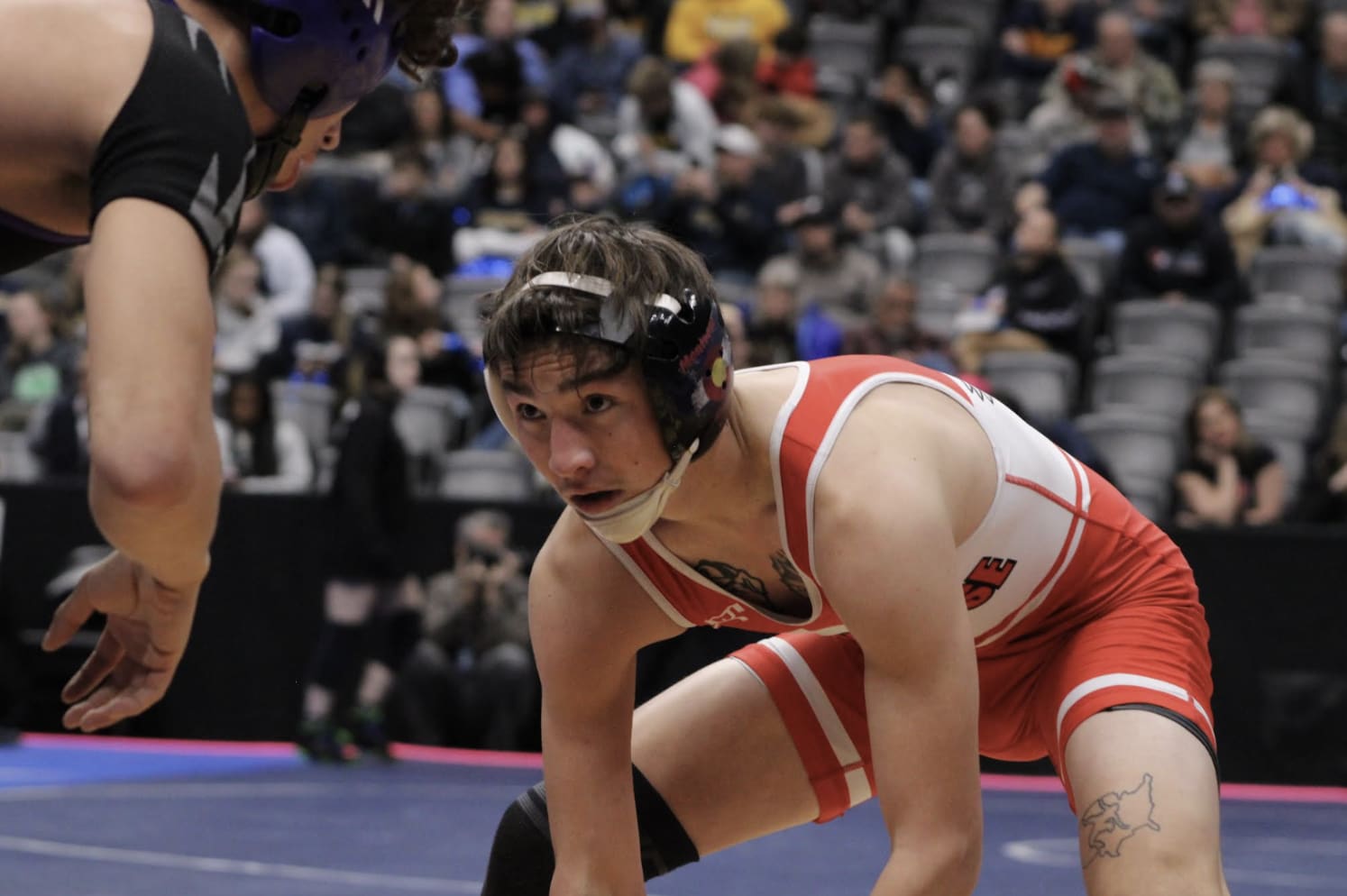 gonzales wrestling