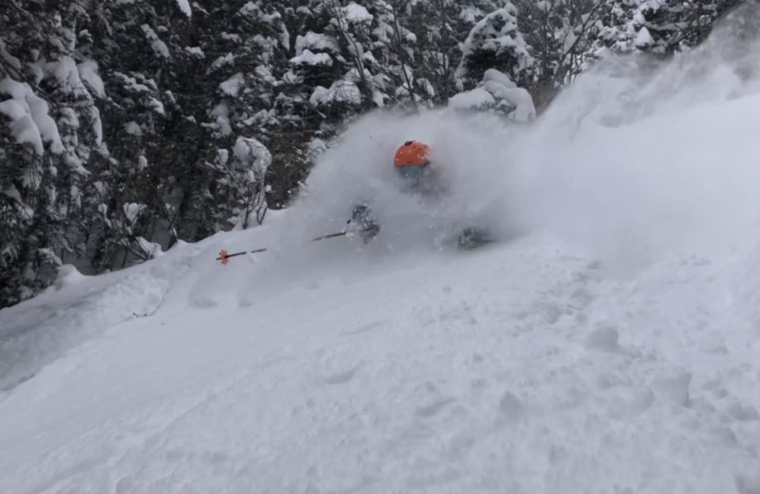 skier