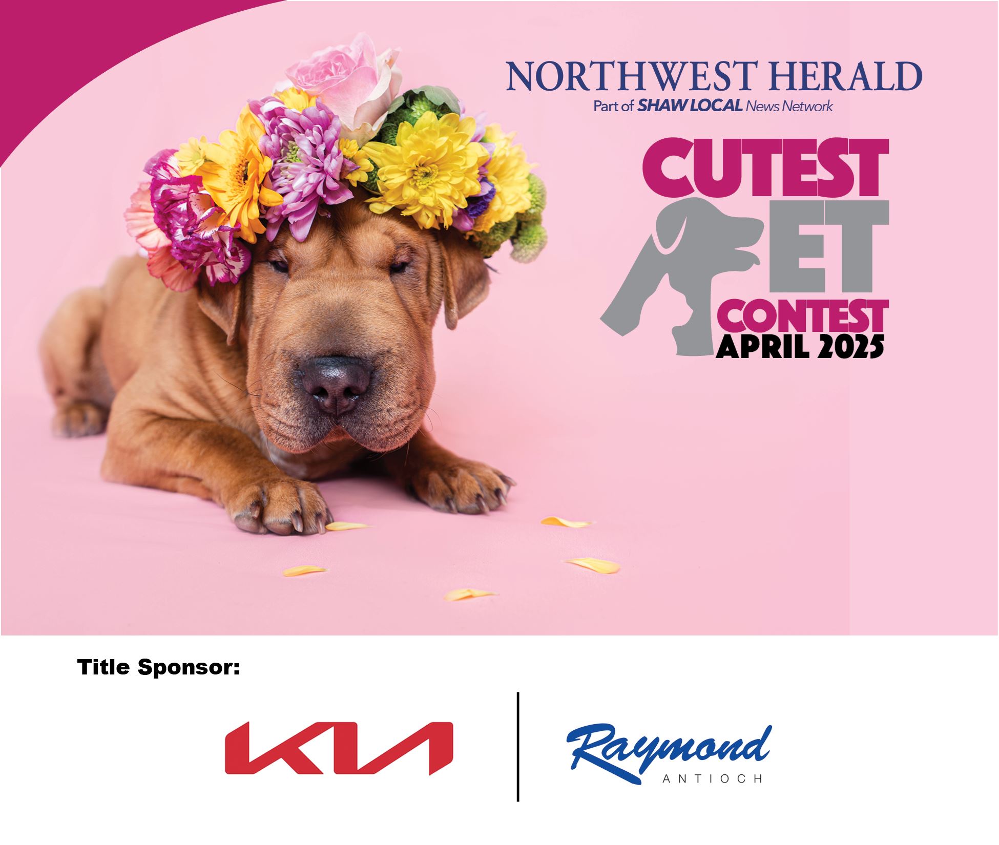 McHenry County's April Cutest Pet Contest
