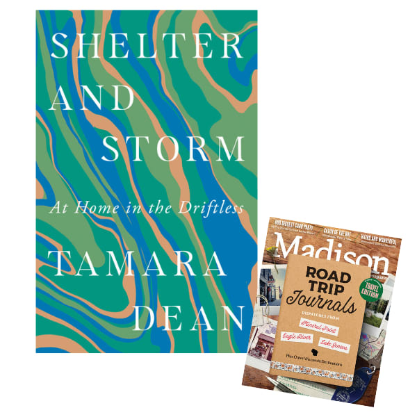 The cover of "Shelter and Storm" by Tamara Dean.