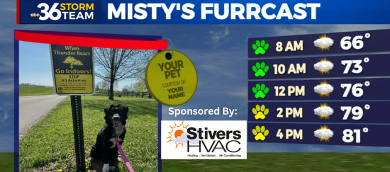 Misty's Furr-Cast