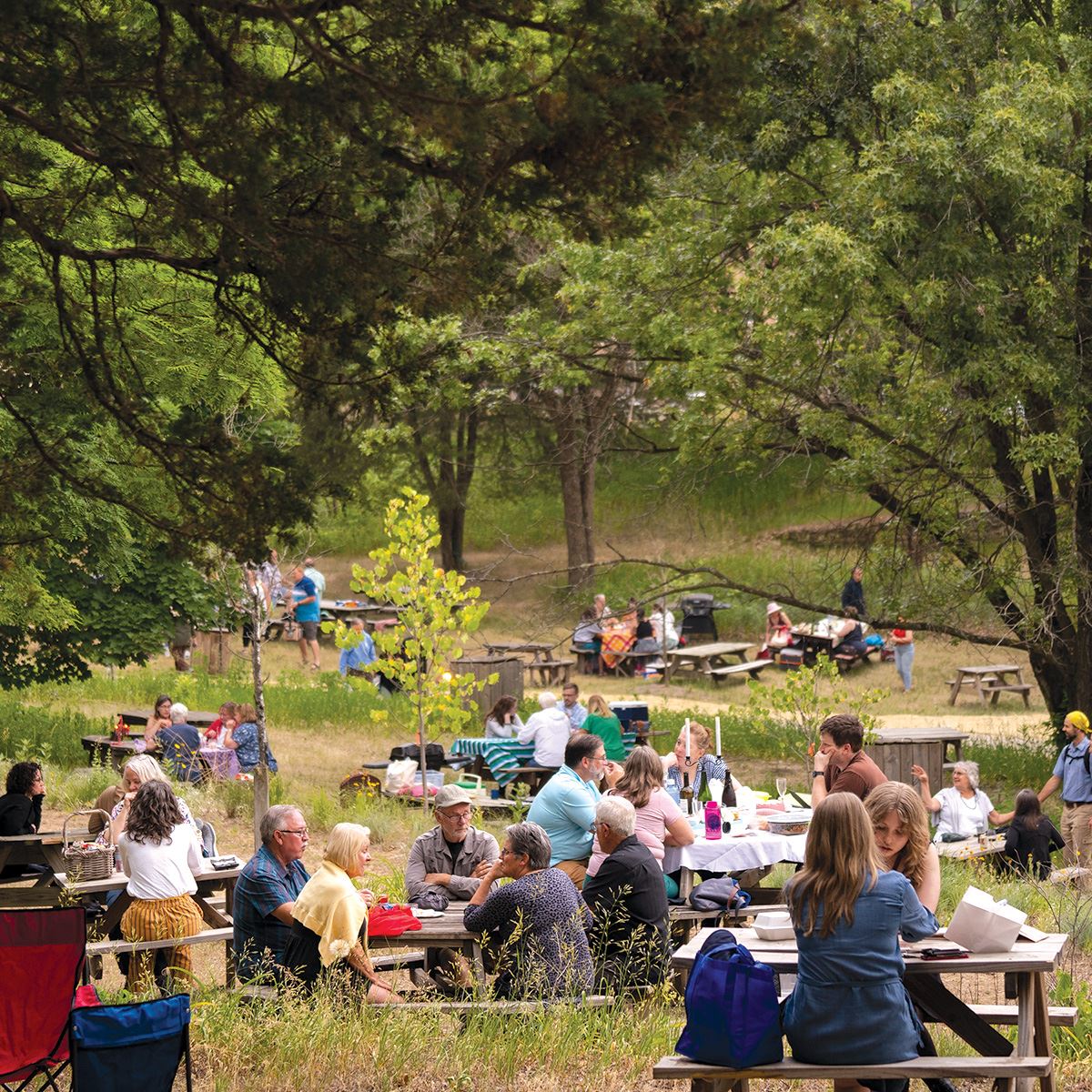 Spread among a green wooded landscape is a number of picnic tables and picnickers.