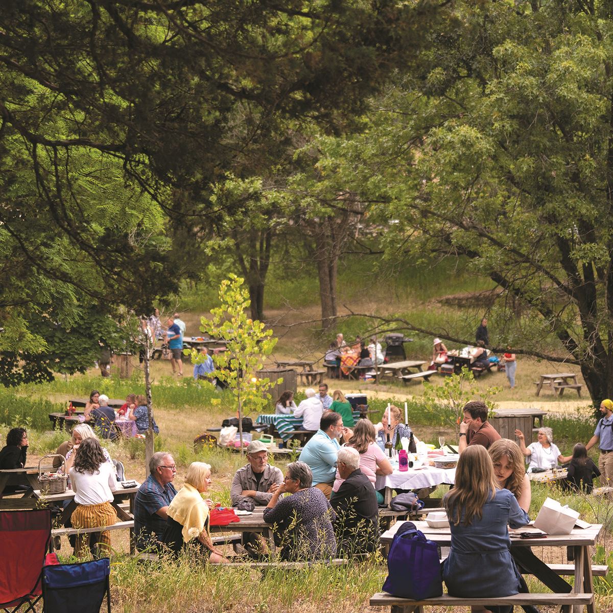 An assemblage of people have picnics on picnic tables among the greenery at American Players Theatre.