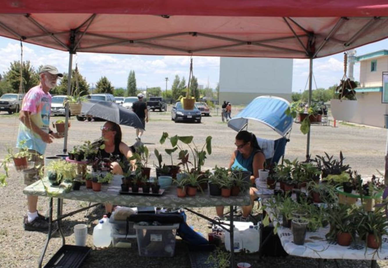 Delta farmers market