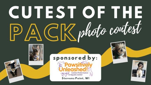 Cutest of the Pack Photo Contest 2025