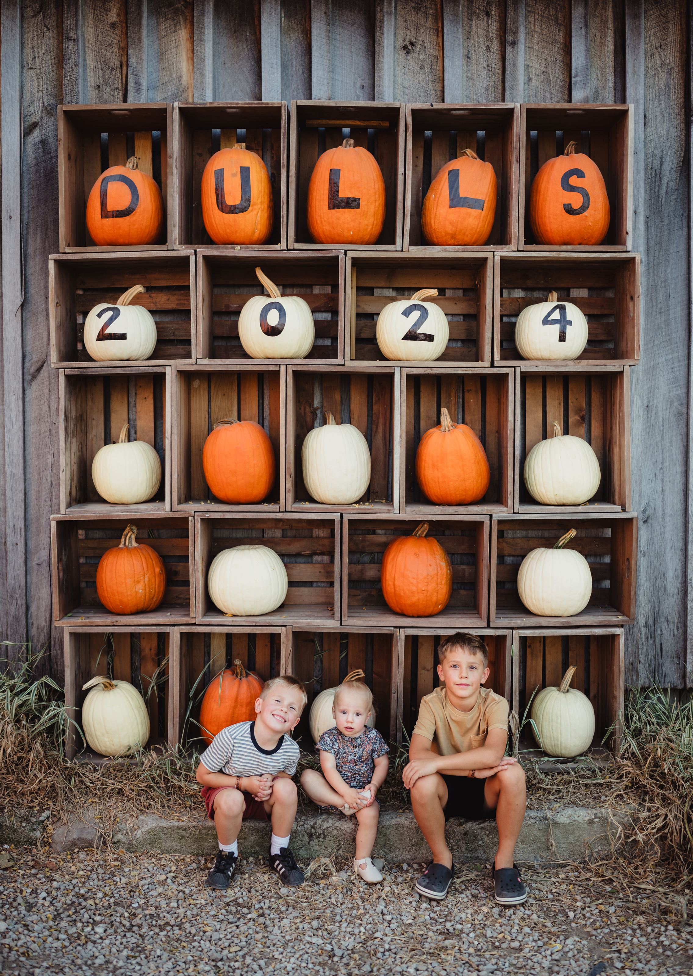 Dull's Tree Farm and Pumpkin Harvest
