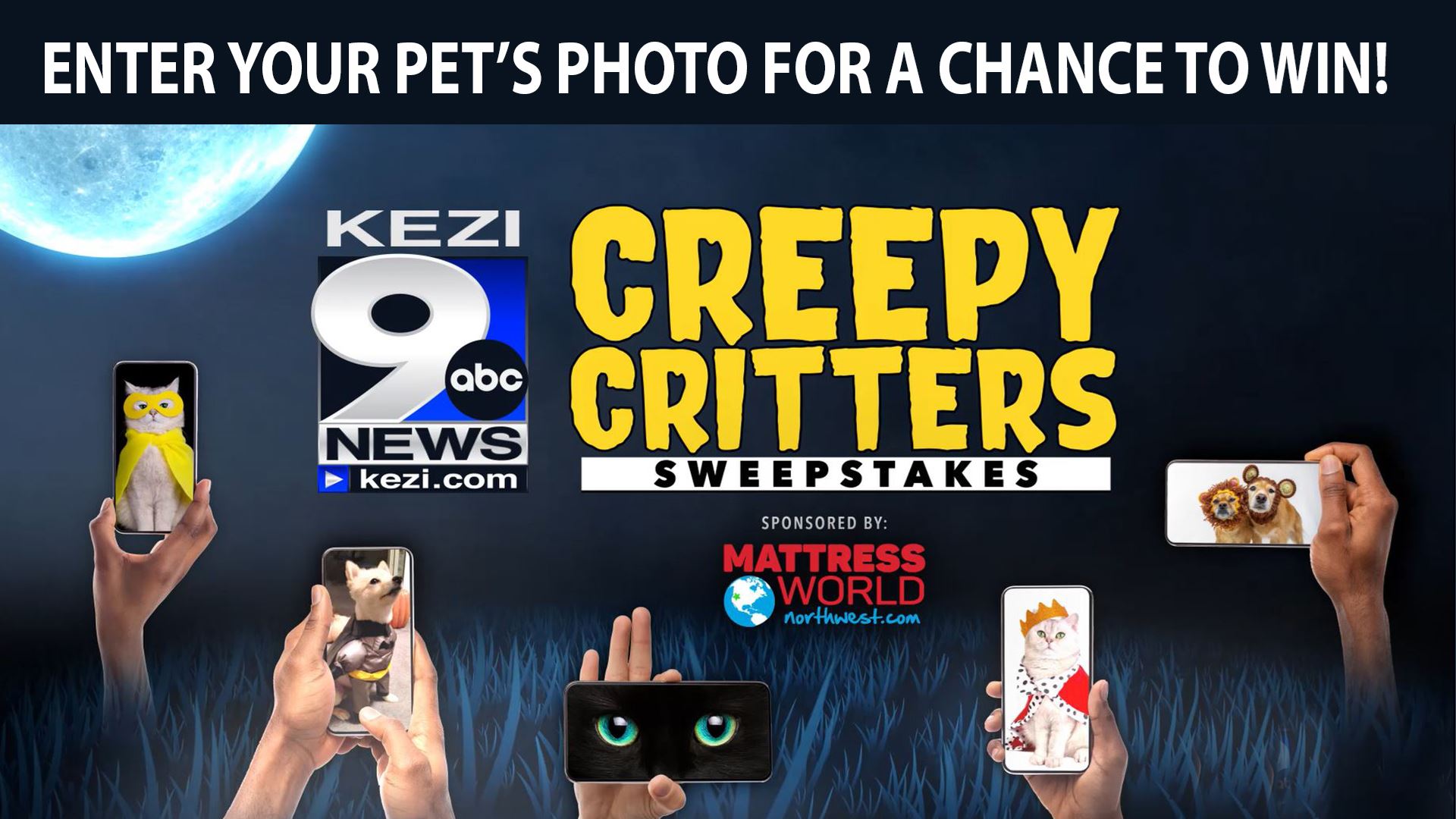 Creepy Critters Photo Contest
