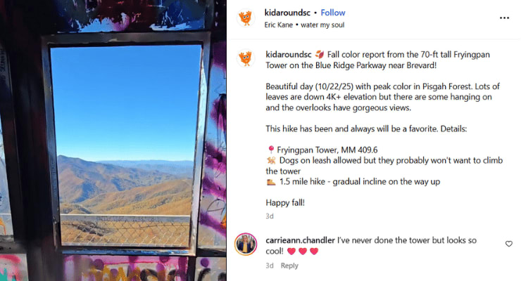 fall leaves frying pan