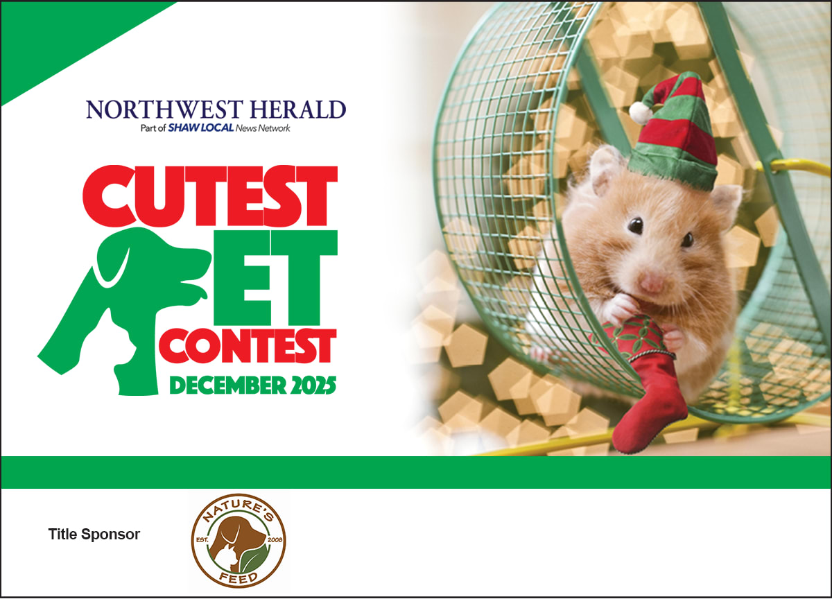 McHenry County's December 2025 Cutest Pet Contest