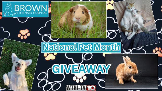 National Pet Month Giveaway 2026
