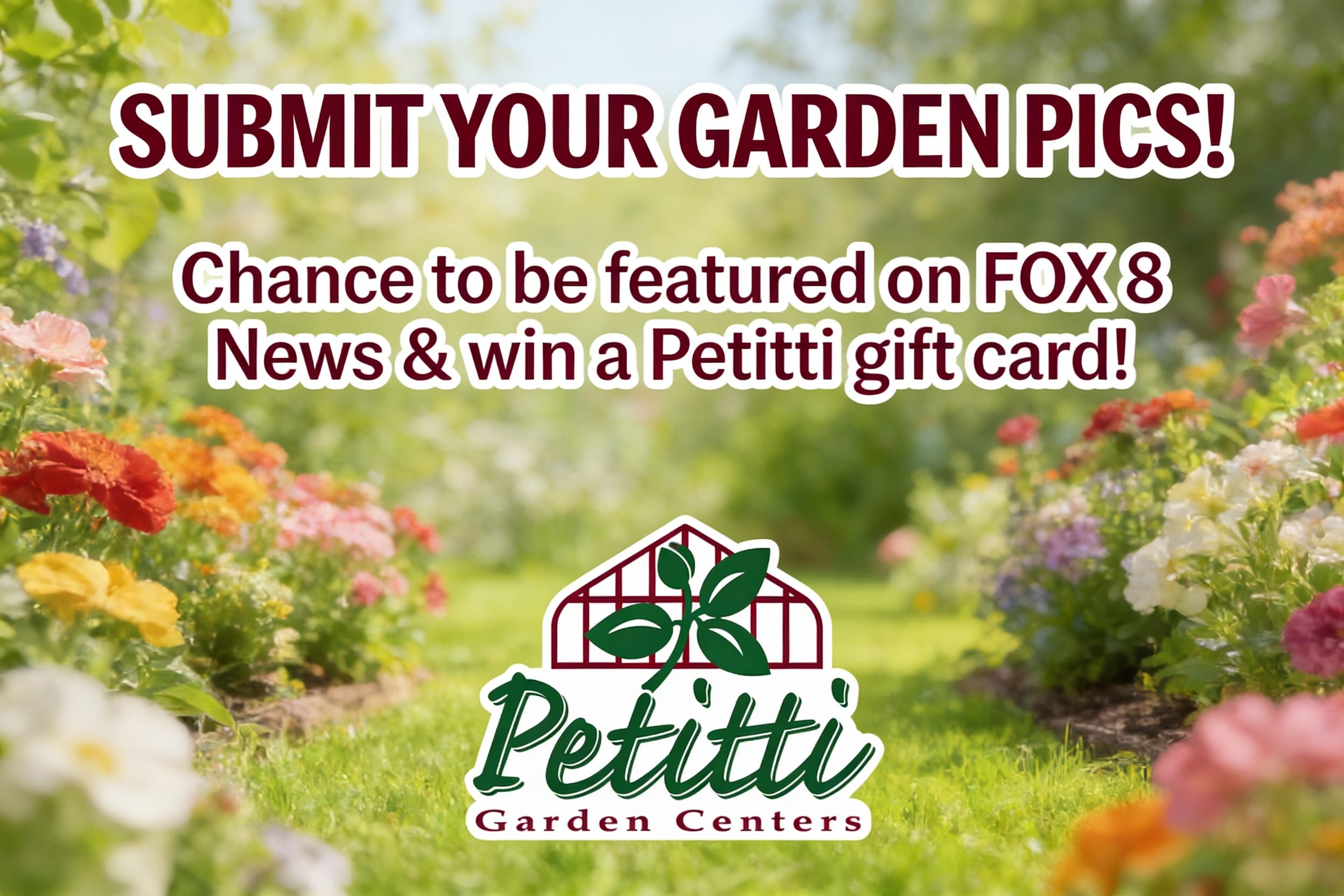 洋楽 Fox Hole 47 Presenting Fair-N-Hyte FOX 8 Garden of the Week presented by Petitti Garden Centers | Fox