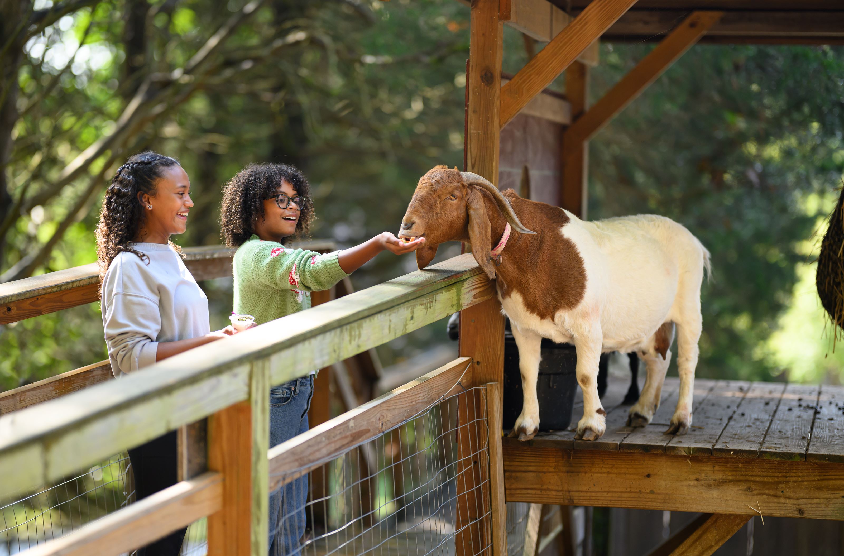 Harrison County CVB promotional image