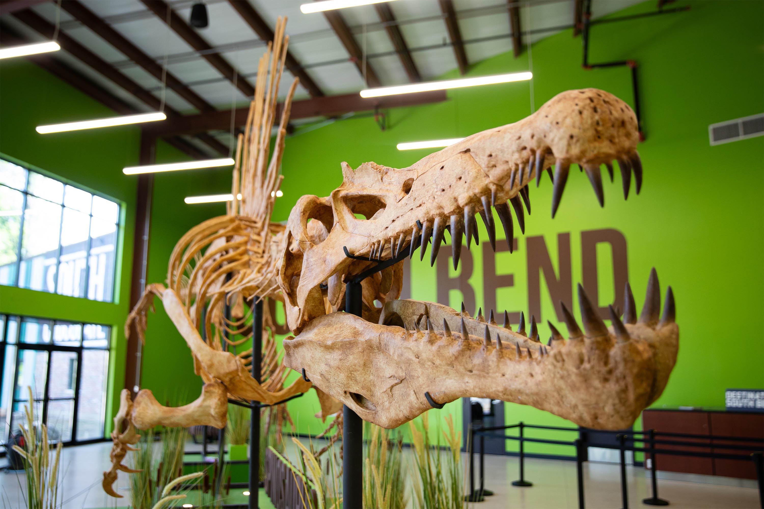 Indiana Dinosaur Museum promotional image
