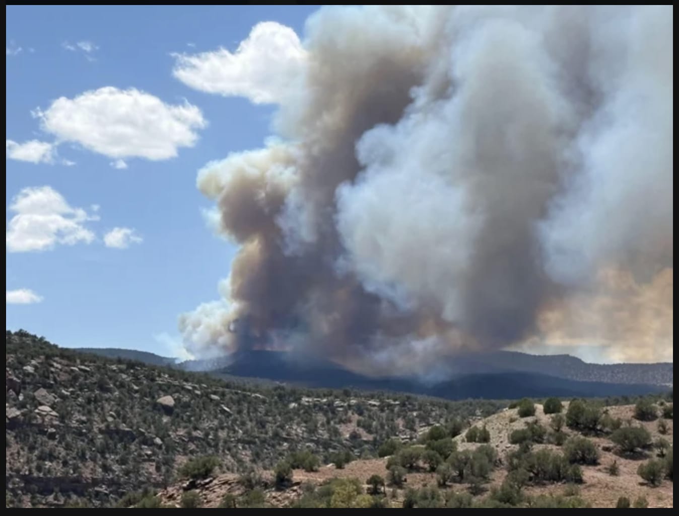 bee hive fire