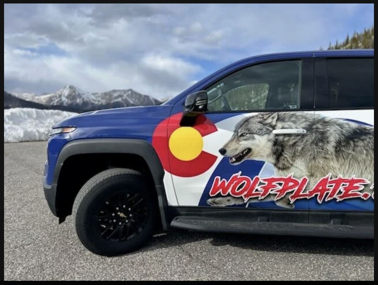 Wolf plate