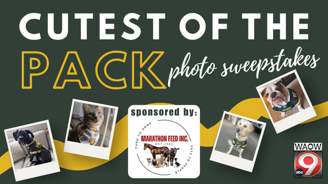 Cutest of the Pack Photo Sweepstakes