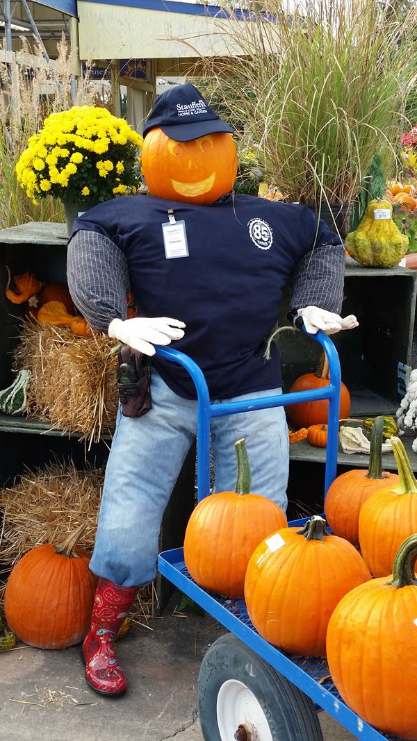 how to win a scarecrow contest