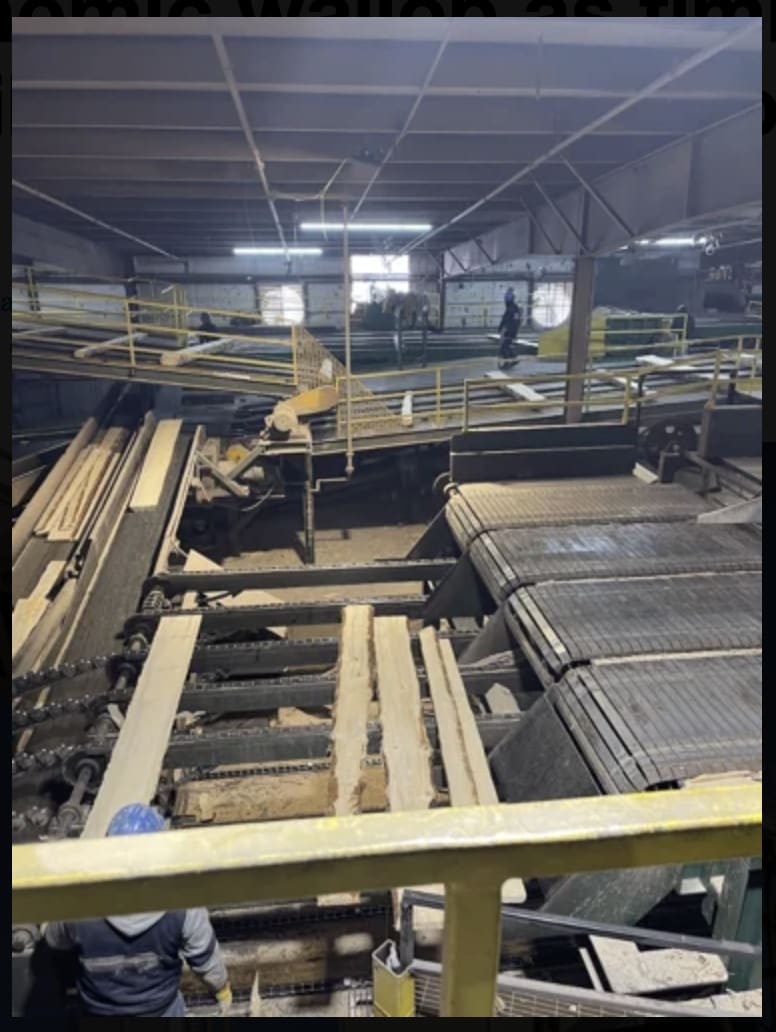 timber mill